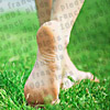1001pieds ™ bien-être et santé du pied